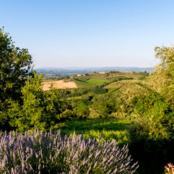 Hotel con piscina en San Gimignano